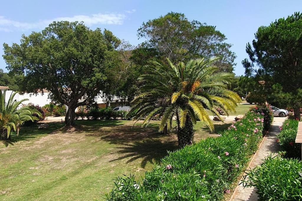 Fiori Di Cala Rossa Appartement T3 Dans Residence Hotelliere Chez Virginie Lecci Eksteriør bilde